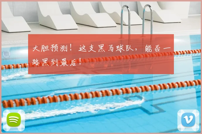 大胆预测！这支黑马球队，能否一路黑到最后！