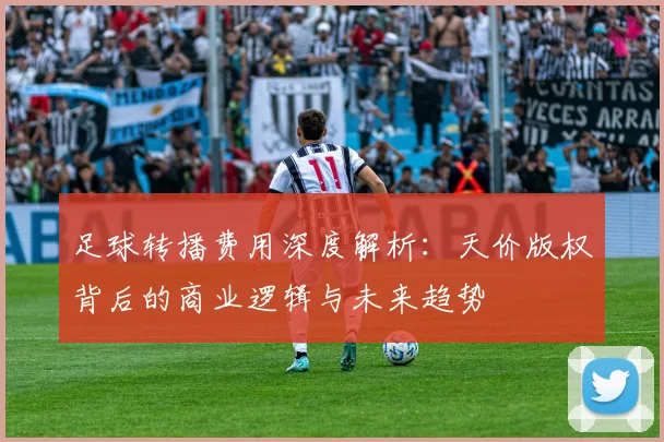 足球转播费用深度解析：天价版权背后的商业逻辑与未来趋势