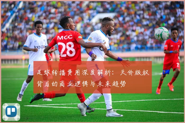 足球转播费用深度解析:天价版权背后的商业逻辑与未来趋势