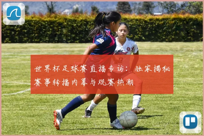 世界杯足球赛直播专访:独家揭秘赛事转播内幕与观赛热潮