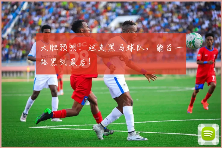 大胆预测!这支黑马球队,能否一路黑到最后!